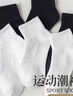棉十三袜子男士短袜夏季男袜吸汗透气【纯色低帮】薄款短筒袜不掉跟10双 实拍图