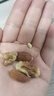 三只松鼠量贩箱装每日坚果1050g/35包 坚果礼盒零食礼包腰果 团购送礼 实拍图