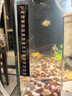 鱼缸变色温度计水族箱乌龟缸感温变色贴片温度表贴纸 【10-36度】1片装 实拍图