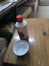 夜郎古100ml小酒53度酱香型白酒试味小酒纯粮名酒口粮酒 53%vol 100mL 24瓶 /箱【小酌壹号】 实拍图