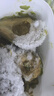 京鲜生 秘鲁进口牛油果巨无霸果6粒装 单果180g+(非即食)  新鲜水果 实拍图