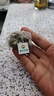 同仁堂玉米须桑叶茶青钱柳叶葛根橘皮牛蒡根栀子泡水喝的养生茶150g 实拍图