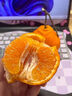 盛觅 云南沃柑橘子薄皮桔子柑橘应季水果送礼装蜜柑整箱 净重4.5-5斤精选装 自有果园 实拍图