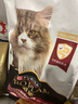 冠能猫粮成猫猫粮三文鱼味7kg 全价猫粮 稳固免疫 适口性强 实拍图