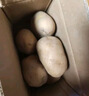 疯抢土豆新鲜现挖2025新土豆农家马铃薯黄皮黄心 黄心土豆小果 3斤(净重) 实拍图