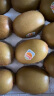 佳沛（zespri）新西兰金奇异果巨大果22粒原箱猕猴桃单果约146-175g母亲节礼盒  实拍图