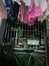 优奇宝宝裙子女宝宝夏装背心裙女童连衣裙夏季婴儿裙洋气公主裙吊带裙 实拍图