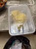 佳农 泰国冷冻 金枕头榴莲肉 单盒净重250g*5盒 榴莲 生鲜水果 实拍图