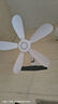 扬子壁扇壁挂式免打孔电风扇家用静音床头小风扇挂墙式大风力宿舍厨房厕所卫生间餐厅墙壁风扇 6叶标准款 实拍图