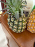 金钻凤梨17号海南新鲜水果无眼菠萝热带水果当季 1枚装试吃 单果400g+ 实拍图
