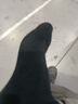 猫人【100%纯棉袜6双】男士袜子男夏季抑菌防臭短袜吸汗运动男无骨袜 实拍图
