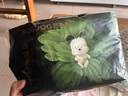 巴布豆（BOBDOG）奇迹奢宠拉拉裤超薄透气尿不湿婴儿试用夜用凤凰草植萃舒敏 拉拉裤XL 44片（23-28斤） 实拍图