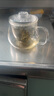 诗米乐  耐热玻璃茶壶一壶二杯泡茶壶主人杯茶水分离办公杯带过滤泡茶器 单壶（透明款） 实拍图