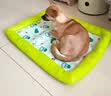 贝初众狗窝夏季狗窝中小型犬四季通用狗垫子睡垫猫窝夏天宠物窝比熊凉席 S【适合5斤内宠物】45*33cm 透气清爽/防水隔凉 清新牛油果窝【不粘毛/耐抓磨】 实拍图