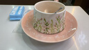 SUCCOHOMEWARE小清新花卉咖啡杯碟套装 ins风复古马克杯陶瓷杯子新婚送闺蜜礼物 风铃粉(一杯一碟一勺)礼品包装 实拍图