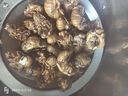 2025新鲜知了猴肉禽菜肴活体金蝉鲜冻蚕大个蝉蛹龟知了爬叉猴特产 【京选中号金蝉】50只现抓现发 实拍图