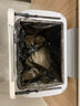 五月花压圈垃圾桶11L*2只装家用客厅卧室厨房厕所办公大容量纸篓 实拍图