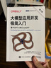 大模型应用开发极简入门 第2版 基于GPT-4和ChatGPT 人工智能深度机器学习  图灵出品 2025新书 实拍图