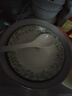 中式简约家用陶瓷四季繁花8英寸圆盘釉下彩耐高温盘子高档餐具 8英寸-四季繁花-春（绿）【1个】 实拍图