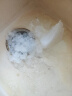 八喜香草口味冰淇淋550g 实拍图