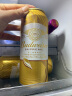 百威金尊啤酒500ml*18听整箱装 单一麦芽10度原麦春日出游 实拍图