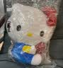 三丽鸥（SANRIO）日本 50周年纪念款 卡通彩色HelloKitty 毛绒零钱包挂件 实拍图