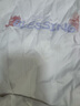 JEANSWEST LIFE真维斯短袖t恤男女情侣款大码宽松重磅半袖中性风潮流纯棉体恤潮 实拍图