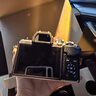 奥林巴斯（OLYMPUS）E-M10 MarkIV EM10四代 微单相机 数码相机 微单套机（14-42mm F3.5-5.6）2030万像素 实拍图