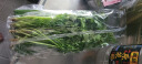 带根香菜100g 实拍图