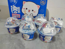 蒙牛纯甄馋酸奶搅拌酸奶坚果莓莓燕麦脆（150g+15g）X6杯 蜜桃猫包装 实拍图
