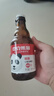 杰克熊猫 精酿小麦白啤 原麦汁浓度10.2°P 300ml*20瓶 整箱装  实拍图