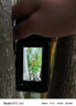 兰漫者高速内存卡TF适用手机大疆无人机pocket3运动相机switch行车记录仪监控摄像头V30存储卡U3/A2 SD卡 128G（读190MB/s）送2.0读卡器 热卖款 实拍图