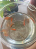 高清鱼缸 生态缸桌面溪流缸迷你金鱼缸小型水族箱养鱼龟缸PET 超大号鱼缸【超清8K高透/摔不碎/久用不糊】 实拍图