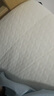 红豆乳胶床垫加厚记忆棉榻榻米抗压单双人家用宿舍床褥子床垫子 R白灰（厚度约10cm） 90cm*190cm 实拍图