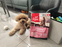 Orijen渴望狗粮 小型犬全期全价小颗粒鸡肉进口犬粮1.8kg效期25/12 实拍图