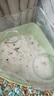 布卡星仓鼠星河浴沙2.5kg洗澡沙祛味沐浴盐浴室盆小仓鼠用品 实拍图