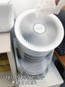 MUSUTAKU摩舒卡3D空气循环净化器AI智控等离子除菌除尘净化器HEPA13级过滤宠物吸毛风扇 空气循环扇【米白色】净化除菌吸毛 实拍图