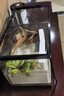 BARBAROUS GROWTH乌龟缸家用带晒台爬台生态亚克力饲养箱造景水循环客厅造景小鱼缸 裸缸+升级爬台设计【高清透亮】 PET材质30*18*18【高清透白】 武士黑【热卖推荐】 实拍图