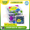 怡颗莓Driscoll's当季云南蓝莓Jumbo超大果18mm+ 4盒装125g/盒生鲜水果 实拍图