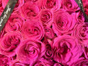 百花馆鲜花速递99朵玫瑰花束真花生日礼物送女友表白求婚同城配送小时达 【弗洛伊德】99朵|dyd80 实拍图