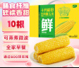 十月稻田 黄糯玉米4.4斤(220g*10根)  东北糯玉米 低脂礼盒 早餐杂粮 实拍图