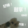 耐克NIKE跑步鞋 男户外越野 JUNIPER TRAIL运动鞋FQ0904-001黑 43 实拍图