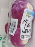 小汤山 北京 紫洋葱 450g 基地直供新鲜蔬菜 实拍图