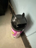 雷达(Raid) 杀虫剂喷雾 550ml*2瓶 绿茶香型 杀蟑喷雾 杀虫气雾剂  实拍图