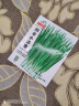 IDEAL理想农业 四季小香葱种子阳台盆栽种植蔬菜种籽小葱种子 约1500粒 实拍图