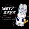 百威啤酒冰啤酒500ml*18听+淡色拉格450ml*3听组合装  实拍图