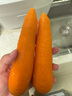 绿源禾心有机胡萝卜新鲜带泥红萝卜甜脆生吃沙拉榨汁辅食材健康无农残蔬菜 一斤 实拍图