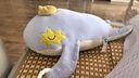 babycare婴儿玩偶安抚枕多功能哄睡枕侧睡靠背档枕沃伊鲸鱼45*23*15-0-1岁 实拍图