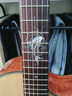 楚门（Trumon）楚门海豚物语1955TFL/黑羽/夏至 全单民谣吉他初学者学生专业进阶 38寸 小海豚1955TPL 尖缺角【原声款】 实拍图
