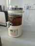 小熊（Bear）养生壶 养生桶花茶桶 水龙头烧水壶煮茶器煮茶壶 玻璃花茶壶电热水壶 3L大容量ZDH-F30F1 实拍图